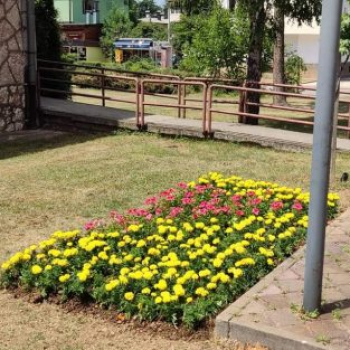 KJKP “Park” realizuje projekat uređenja parkovskih površina u općini Ilijaš