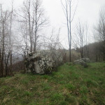 IMG 1769-150x150