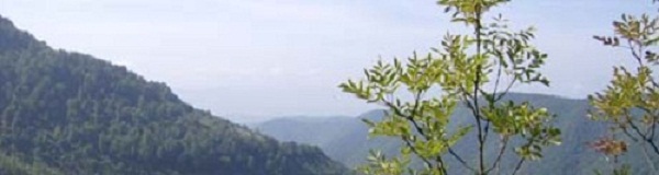 ilijas.ba