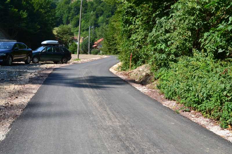 DSC 0515