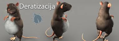 deratizaciaj