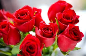 8 MART 2020