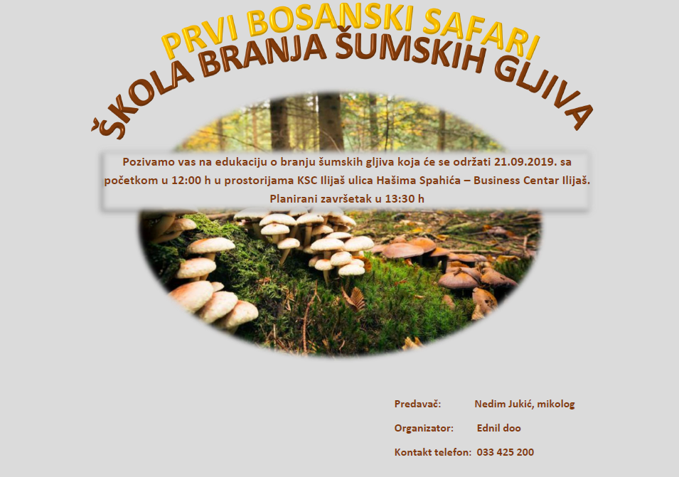 edukacija branje sumskih gljiva