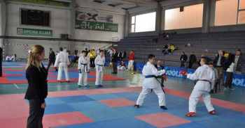 karate1