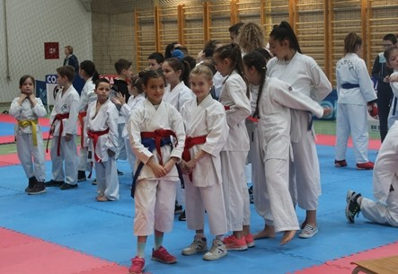 karate kup ilijas open