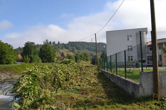 DSC 0001