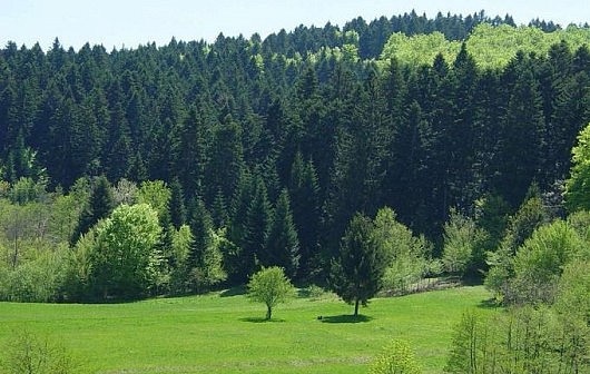 sumebih